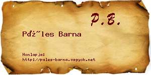 Páles Barna névjegykártya